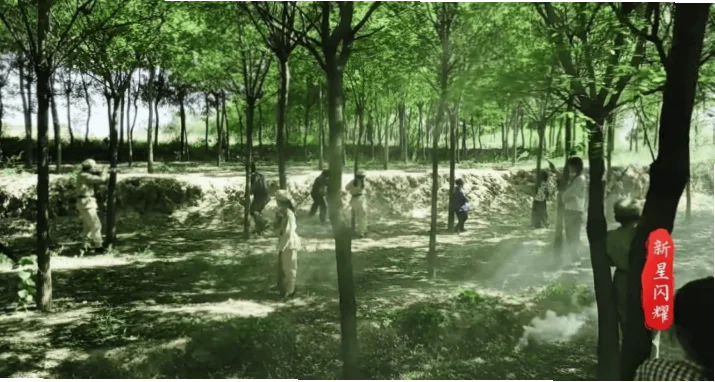 新星涌现基础渐厚，如何培养更多未来之星？